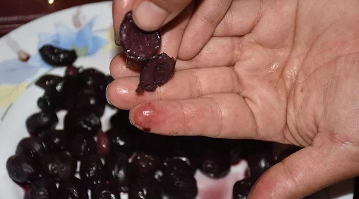 Boyalı Zeytin Nasıl Anlaşılır