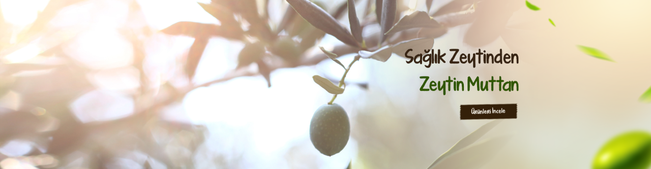Bu Yüzden Sağlık Zeytinden Zeytin Mut dan.
