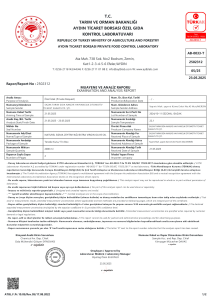 Sazak Naturel Sızma Zeytinyağı 5 Lt ( Sezon 2024-2025)