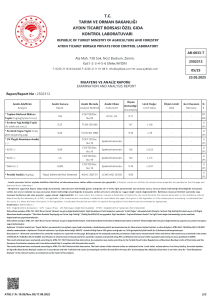 Sazak Naturel Sızma Zeytinyağı 5 Lt ( Sezon 2024-2025)