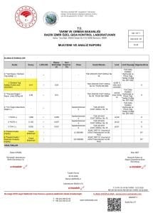 Sazak Naturel Sızma Zeytinyağı 5 Lt ( Sezon 2025-2026)