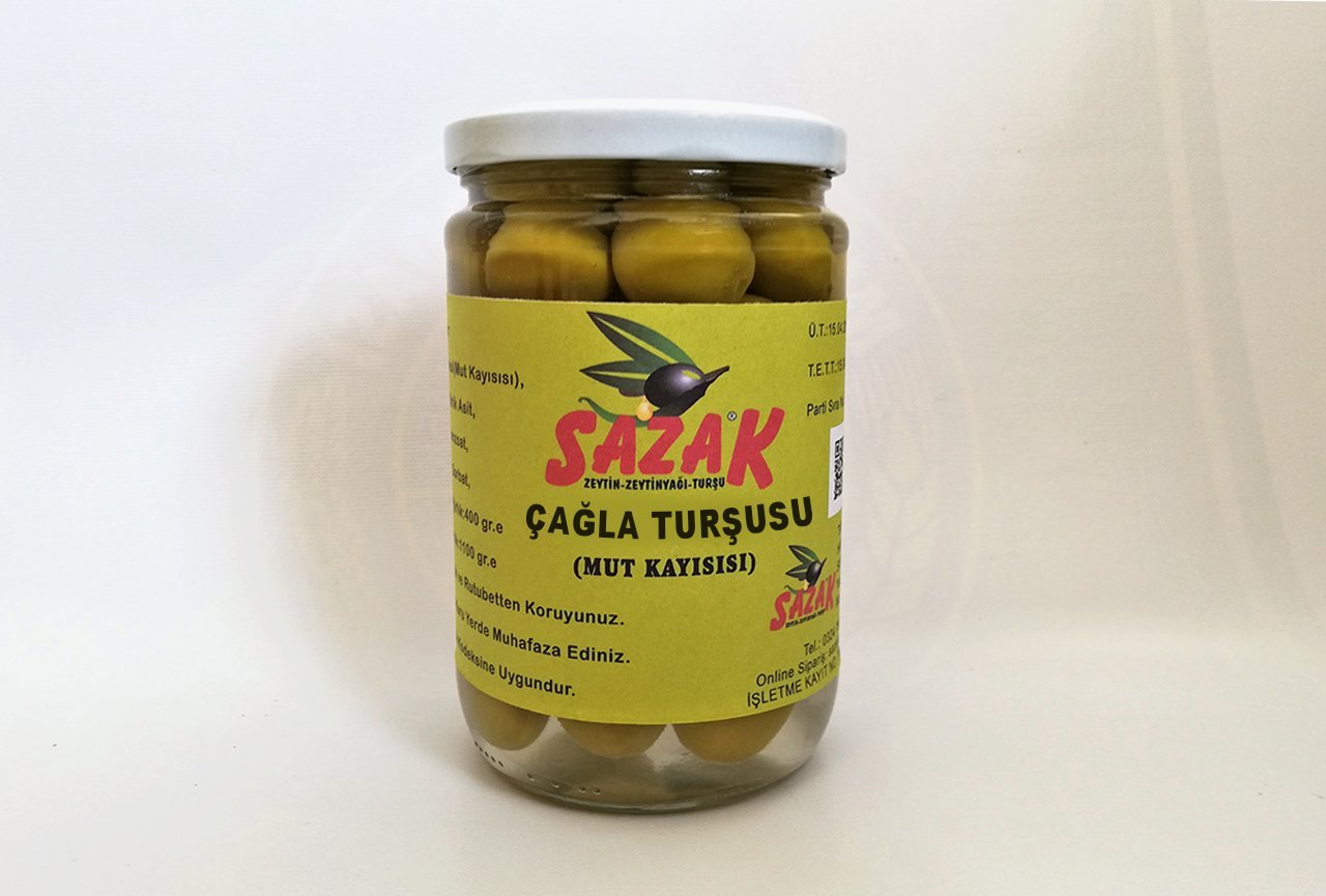 Sazak Kayısı Çağla Turşusu ( Mut Kayısısı )