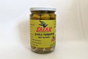 Sazak Kayısı Çağla Turşusu ( Mut Kayısısı )