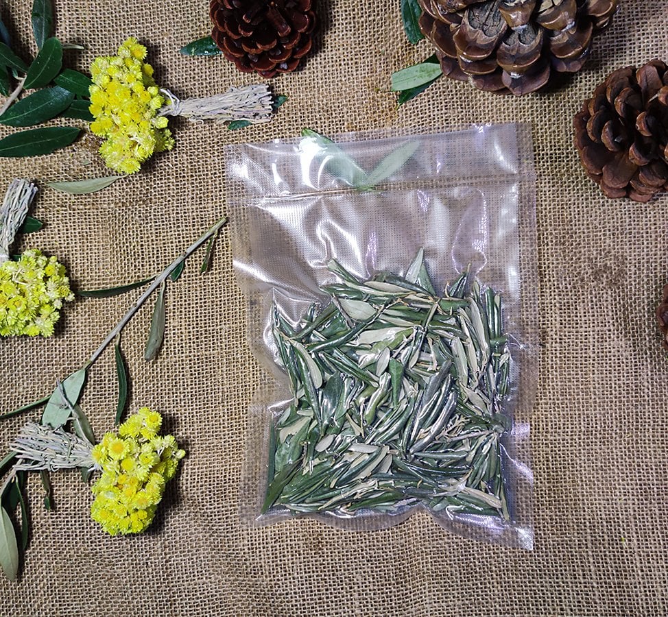 Sazak Zeytin Yaprağı 100 gr