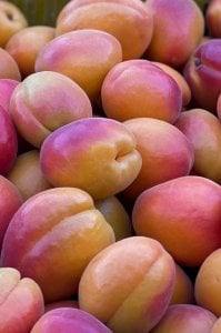 Sazak Taze Kayısı Mut Kayısısı Doğal 1 KG