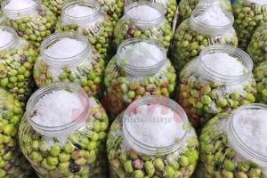 Sazak Kendin Tatlandır Kırma Yeşil Zeytin 5Lt Pet (Yeni Sezon 2025-2026)