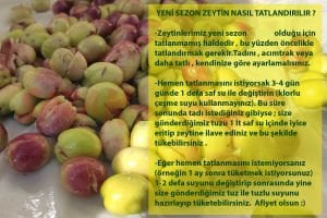 Sazak Kendin Tatlandır Kırma Yeşil Zeytin 5Lt Pet (Yeni Sezon 2026-2027)