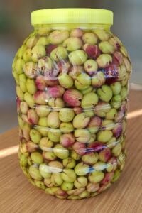 Sazak Kendin Tatlandır Kırma Yeşil Zeytin 5Lt Pet (Yeni Sezon 2026-2027)