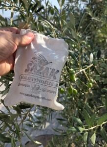 Sazak Zeytinyağlı Sabun  1 ADET